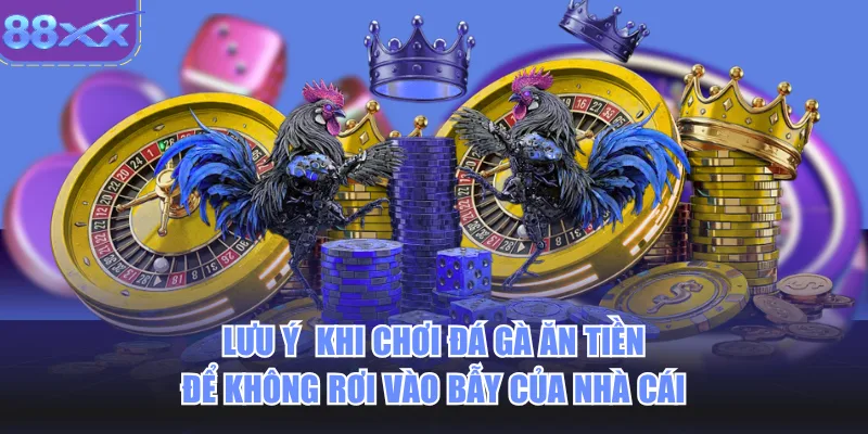 Lưu ý khi chơi đá gà ăn tiền để không rơi vào bẫy của nhà cái